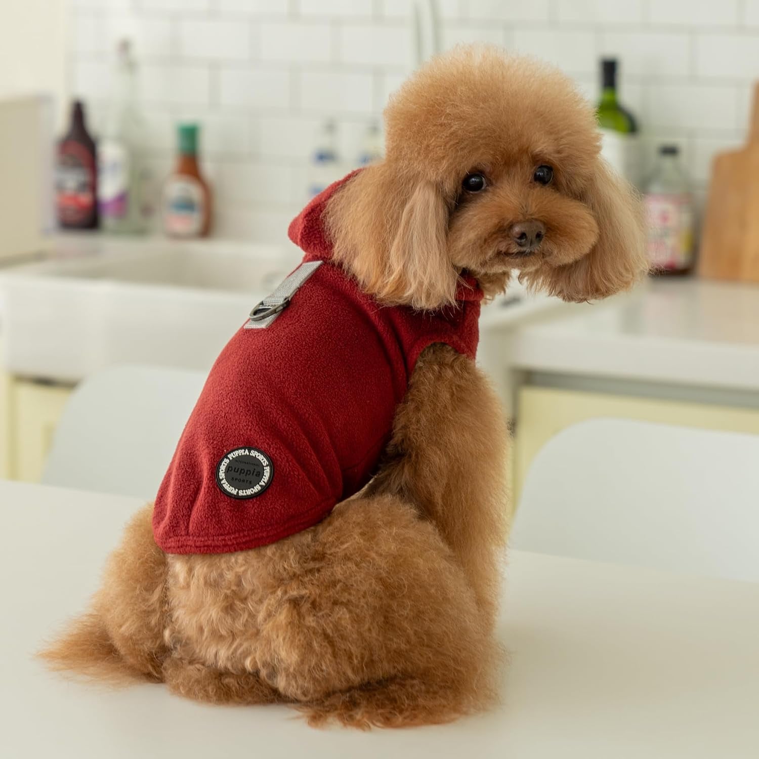 Zuko Warm Winter Hooded Polar Fleece Shirts with Integrated Harness for Small and Medium Dogs, Wine, Medium